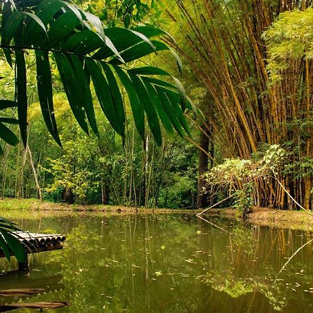 Reserva Biologica Caoba Bonda المظهر الخارجي الصورة