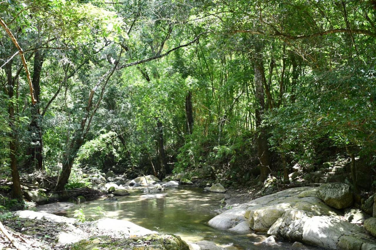 Reserva Biologica Caoba Bonda المظهر الخارجي الصورة