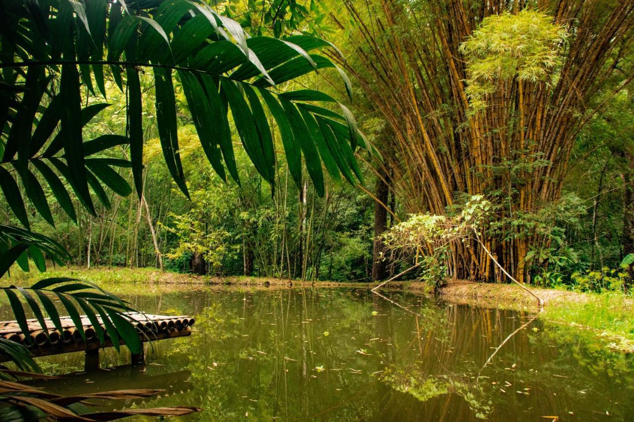 Reserva Biologica Caoba Bonda المظهر الخارجي الصورة